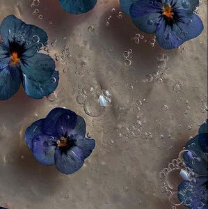 Meet your Posher, Broo